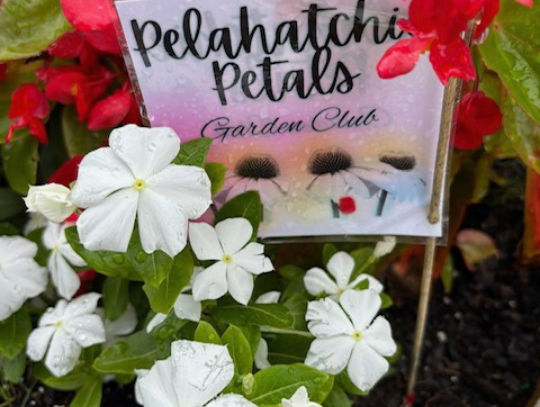 Town in full bloom: Garden club enhances downtown