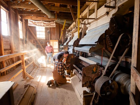 Mississippi Agriculture and Forestry Museum Hosts Annual Harvest Festival