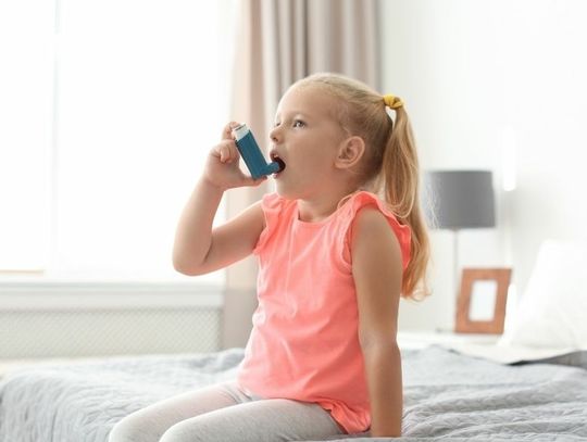 Ways To Make Your Home Safe for Asthmatic Kids