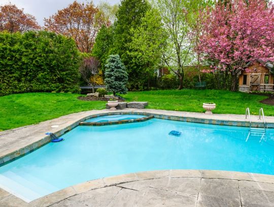 A backyard swimming pool surrounded by a stone patio, green lawn, tall hedges, and pink flowering trees.