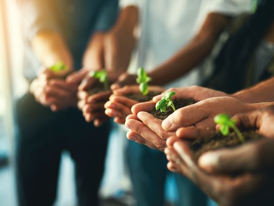 Five people stand next to each other with their arms extended. Each holds soil and a small plant in their hands.