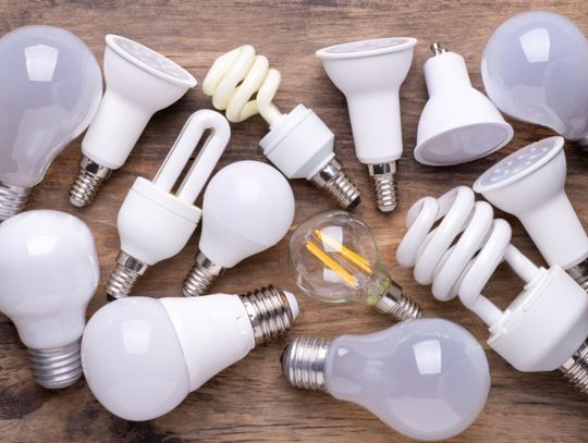 A variety of white light bulbs in different shapes and sizes arranged together across a brown wooden surface.