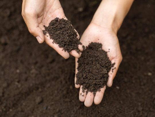 What you need or don’t need in garden soil