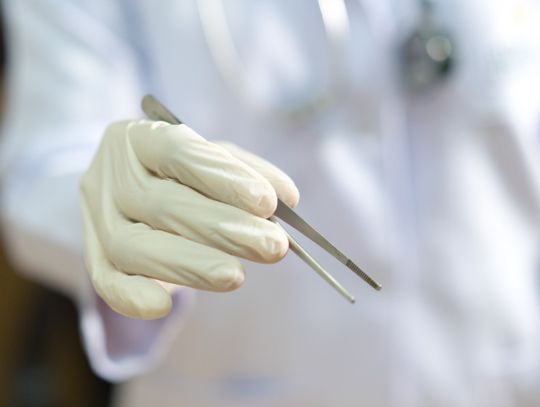Gloved medical professional holding stainless steel thumb forceps against a blurred white coat background.