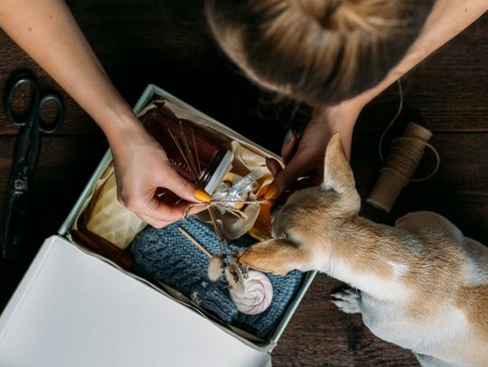 A woman sitting at a table and opening a package with different products inside. A dog sits next to the package.