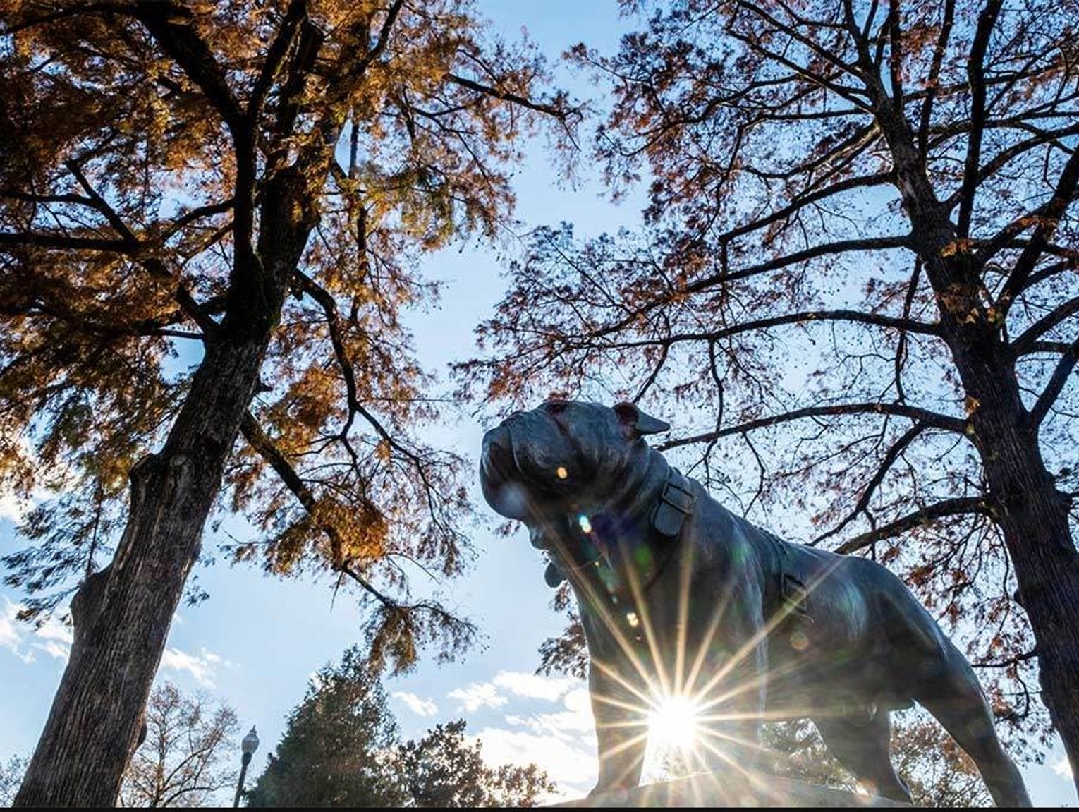 Local students named to MS State University's fall 2023 President's List