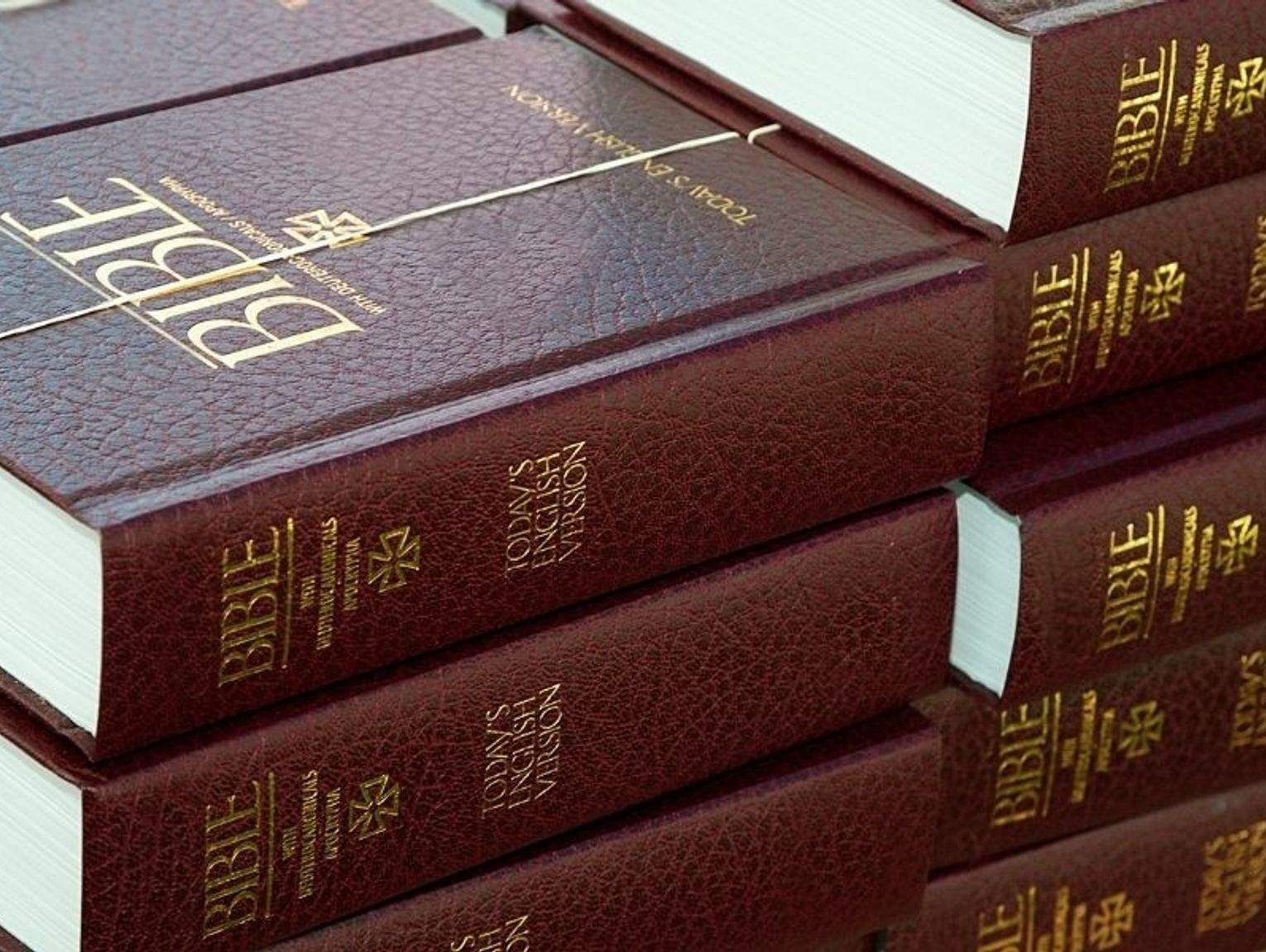 What s The Difference Between Large And Giant Print Bibles 