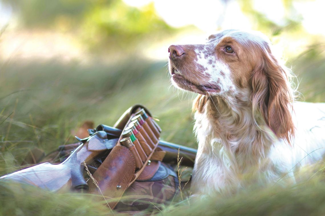 10 tips on practicing good hunting safety
