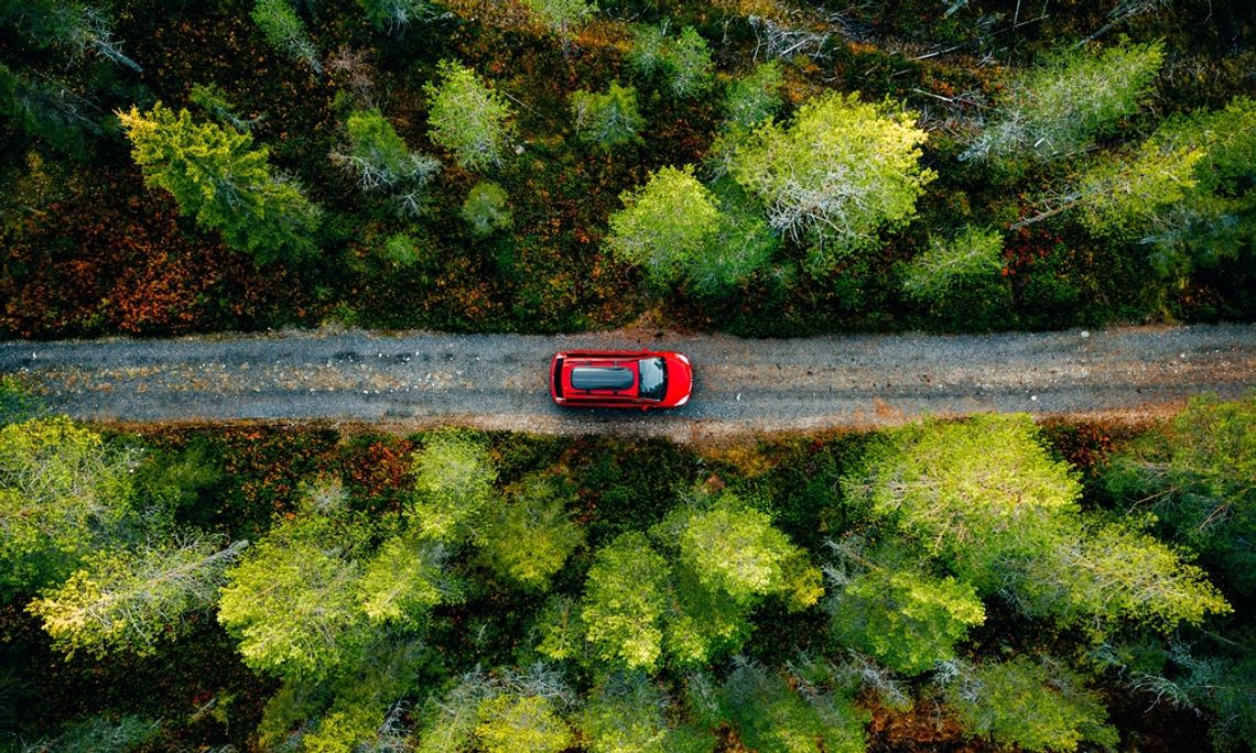 The top of a red car driving down an unpaved country road. Multiple trees are on both sides of the road.
