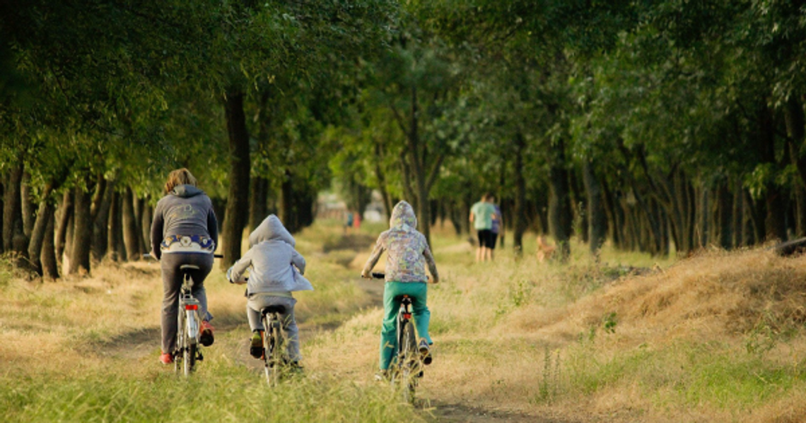 4 Sports to Play With the Entire Family