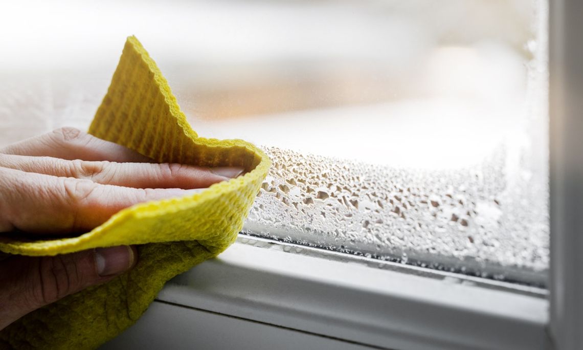 A close-up of someone's hand using a yellow spongebob wiping the condensation off their glass window.