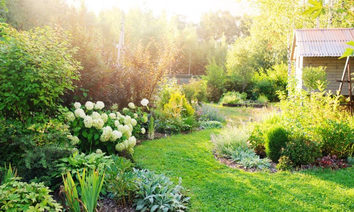 A beautiful rolling garden with an assortment of bushes, grass, flowers, and trees with a shed in the background.