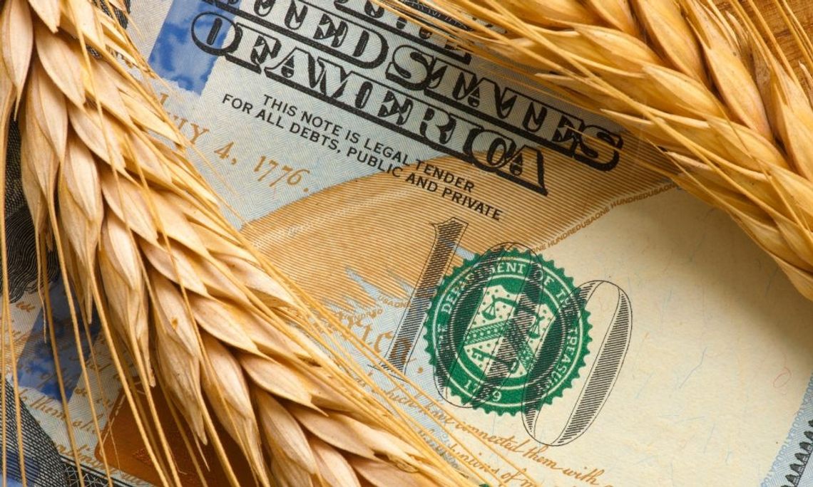 Benefits of Getting a Loan for Your Agricultural Business