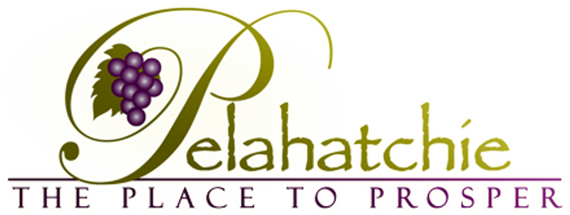 City of Pelahatchie Board of Alderman Meeting Notes