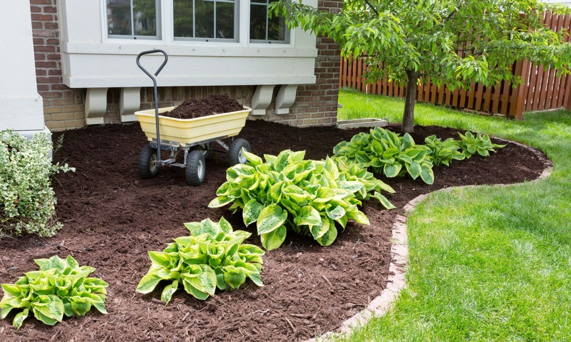 Freshly laid mulch beneath a box window in a landscaped portion of a yard. A wavy ring of bricks encircles the mulch.