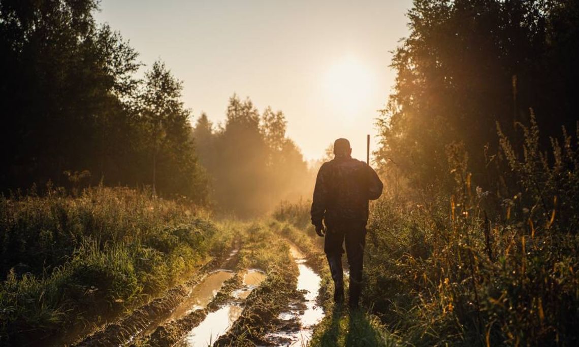 A hunter walking through the brush holding his rifle in his right hand, as the sun sets after a recent rainstorm.