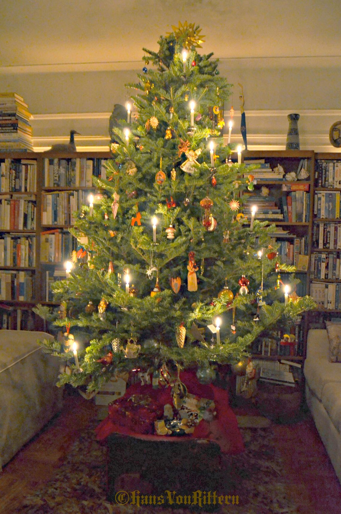 Have you heard the history of the Christmas tree