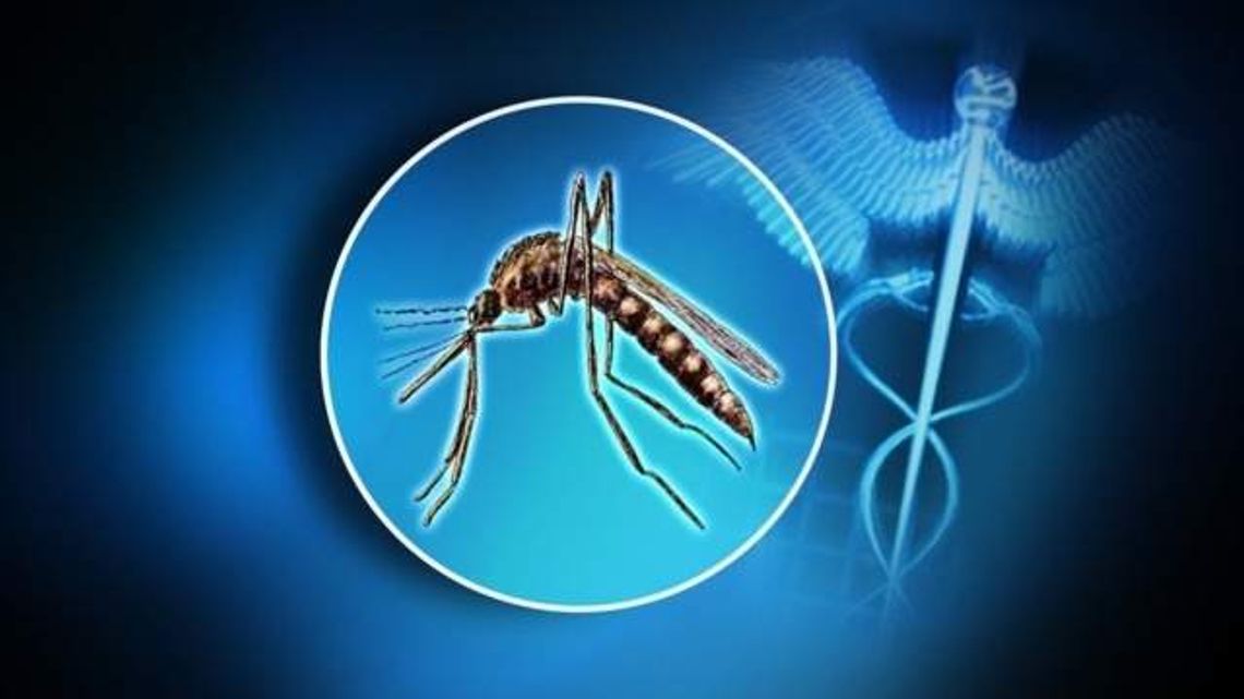 Health Officials Report First Human Case of West Nile Virus for 2020