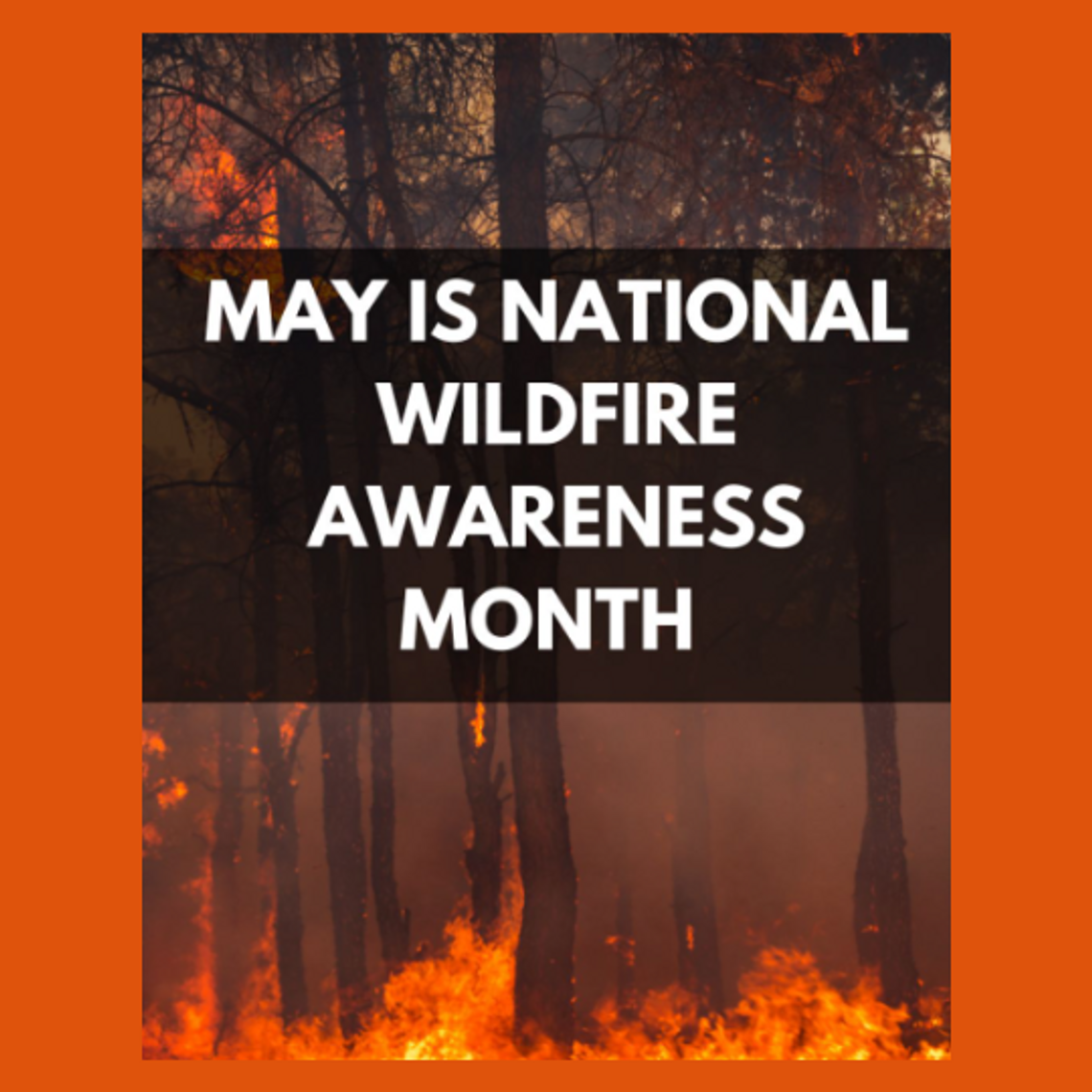 HOW CAN I PROTECT MY HOME FROM WILDFIRES?