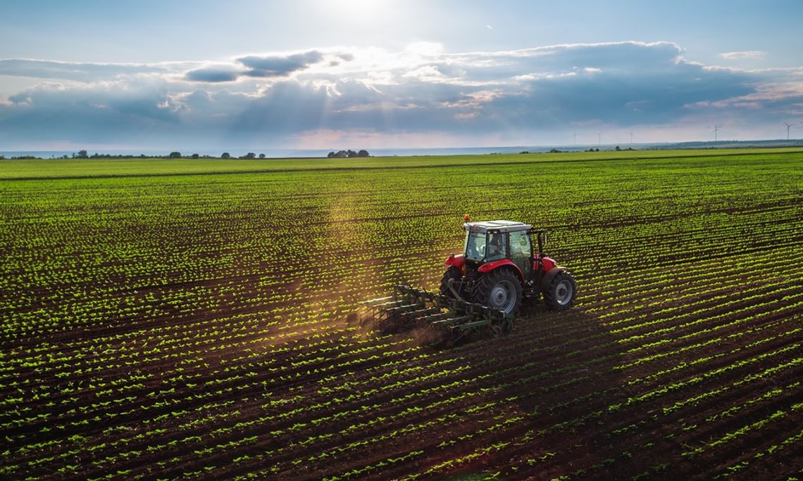 How Farm Tech Helps Farmers Cut Costly Waste A red tractor cultivating rows of green crops in a wide field beneath a cloudy sky with distant wind turbines.