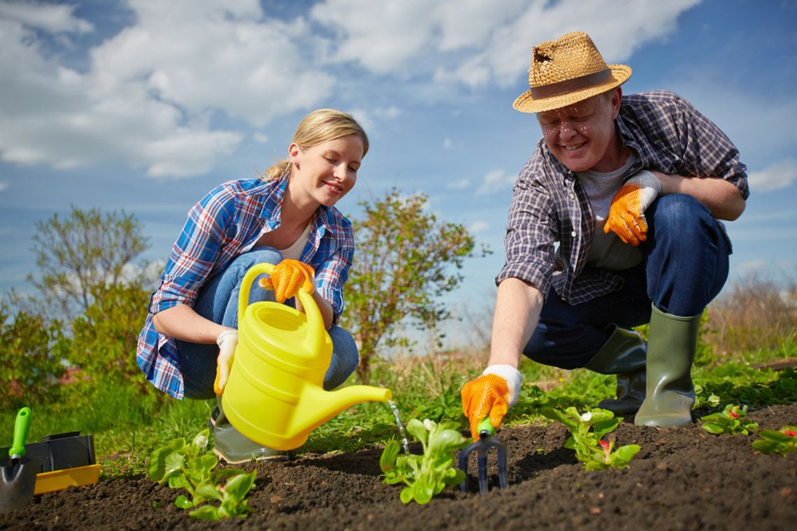 How to Balance Your HOA and Your Gardening Projects