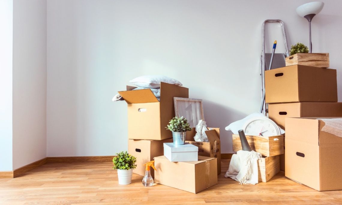 How To Build a Move-Prep Supply Zone at Home A bright room contains stacked moving boxes, a ladder, plants, and household items beside an empty wall.