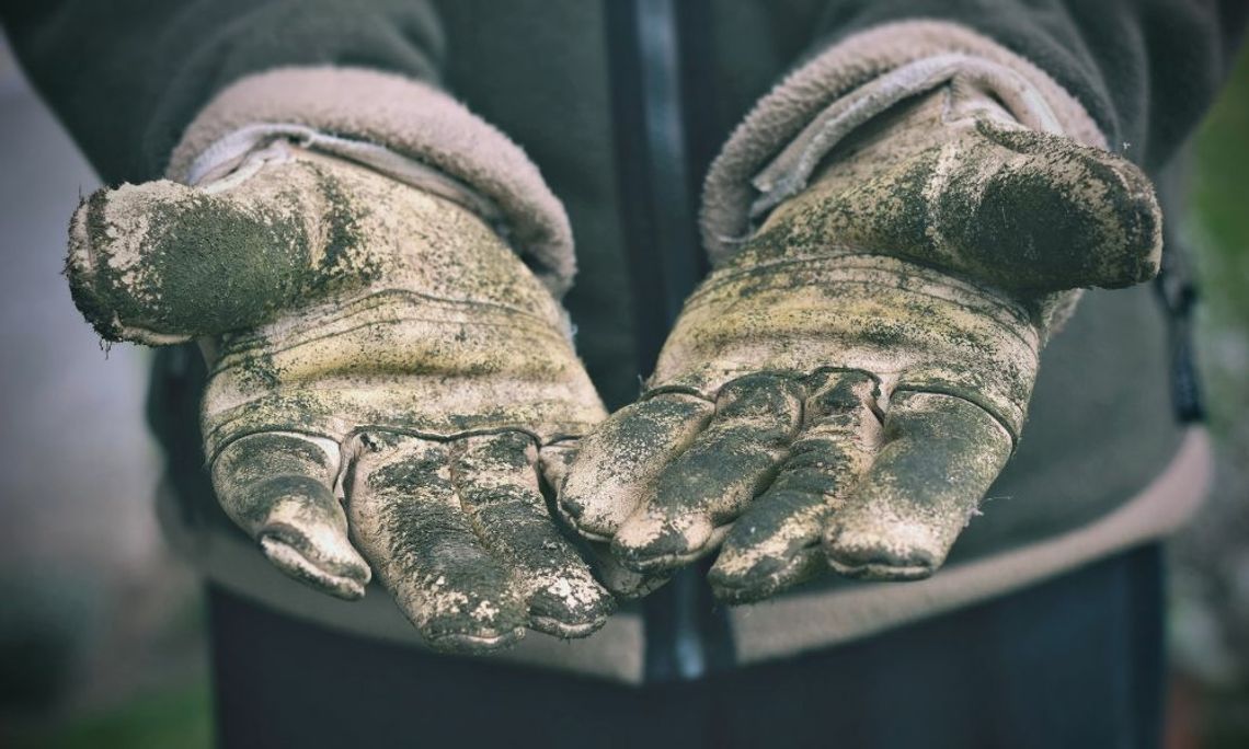 How To Know When To Replace Your Work Gloves