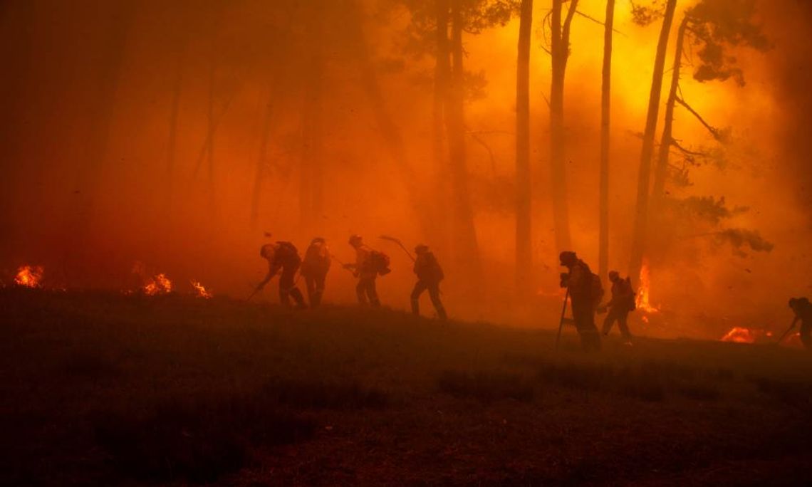 How Wildland Firefighters Handle Sudden Weather Wildland firefighters work through a smoky forest as flames burn among the trees during an active wildfire.