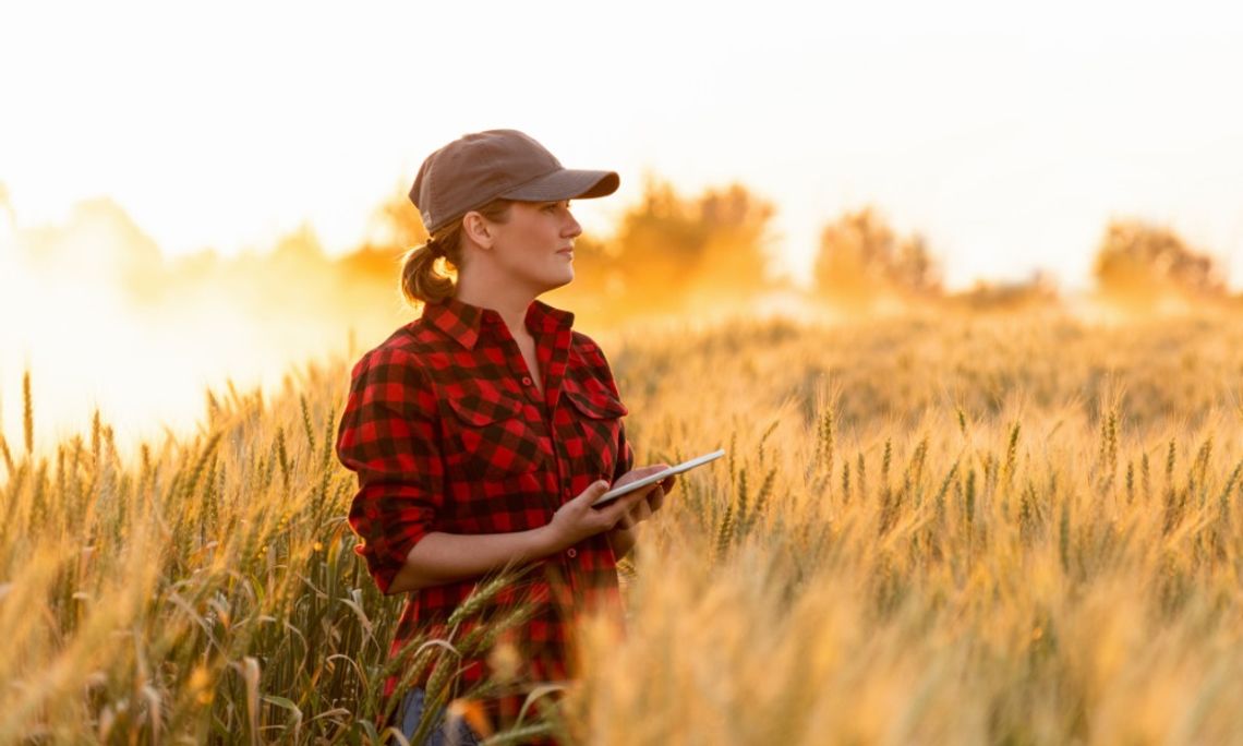 How You Can Start a Farm in a New Market A farmer with their sleeves rolled up standing in a grain field during the daytime. The farmer holds a small tablet.