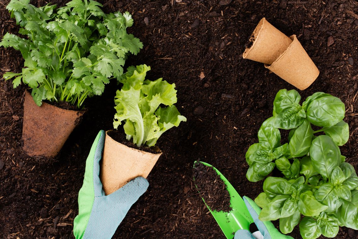 It’s the season to think about garden soil