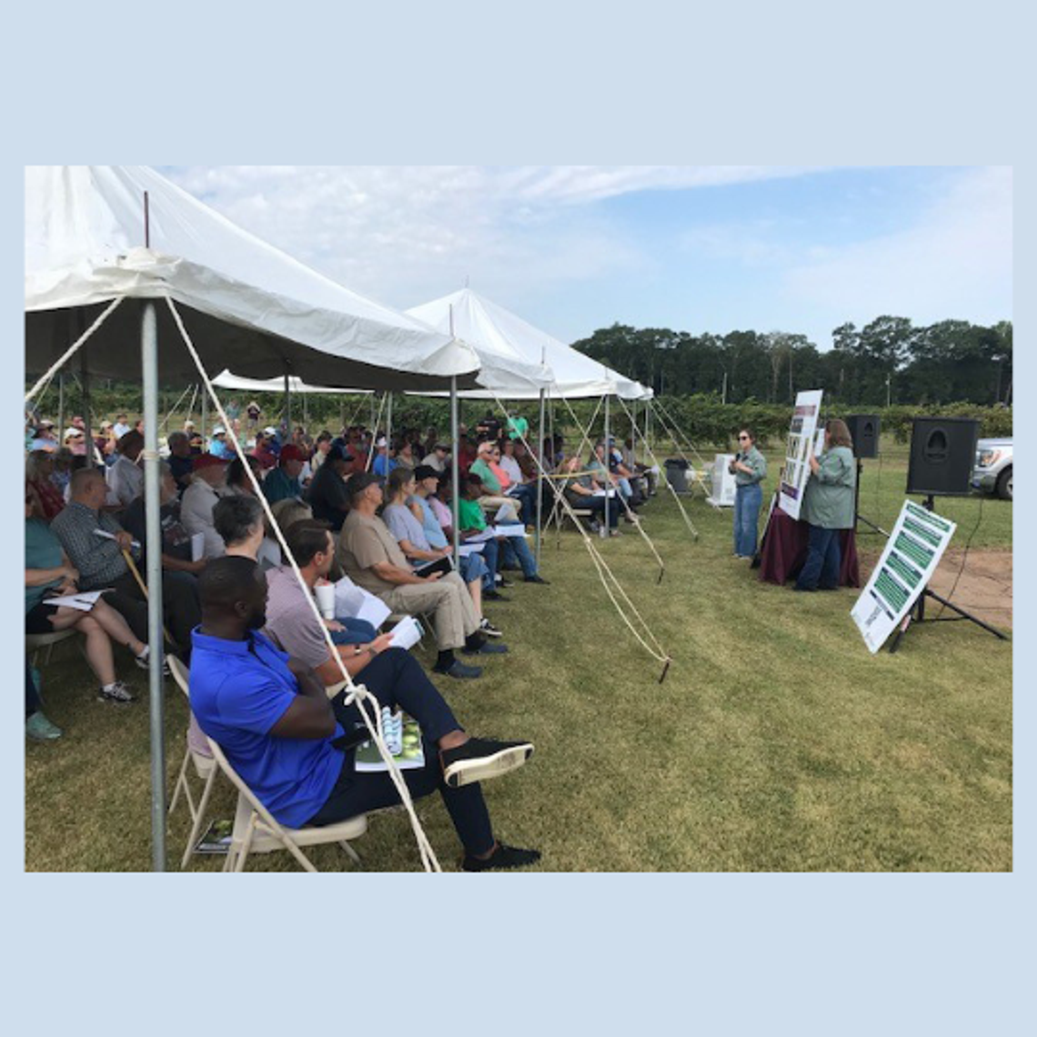 Muscadine field day set for Aug. 27 Muscadine field day set for Aug. 27