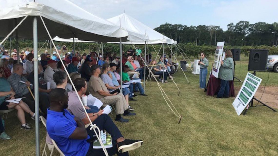 Muscadine Field Day was held Aug. 27 Muscadine Field Day was held Aug. 27
