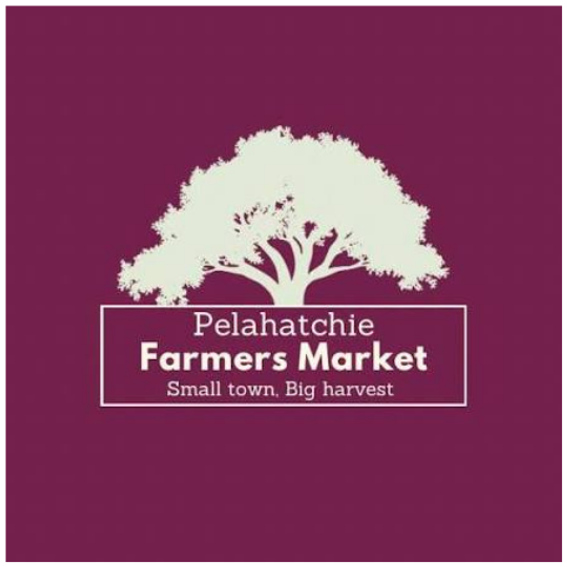 Pelahatchie Farmers Market returns to Muscadine Park
