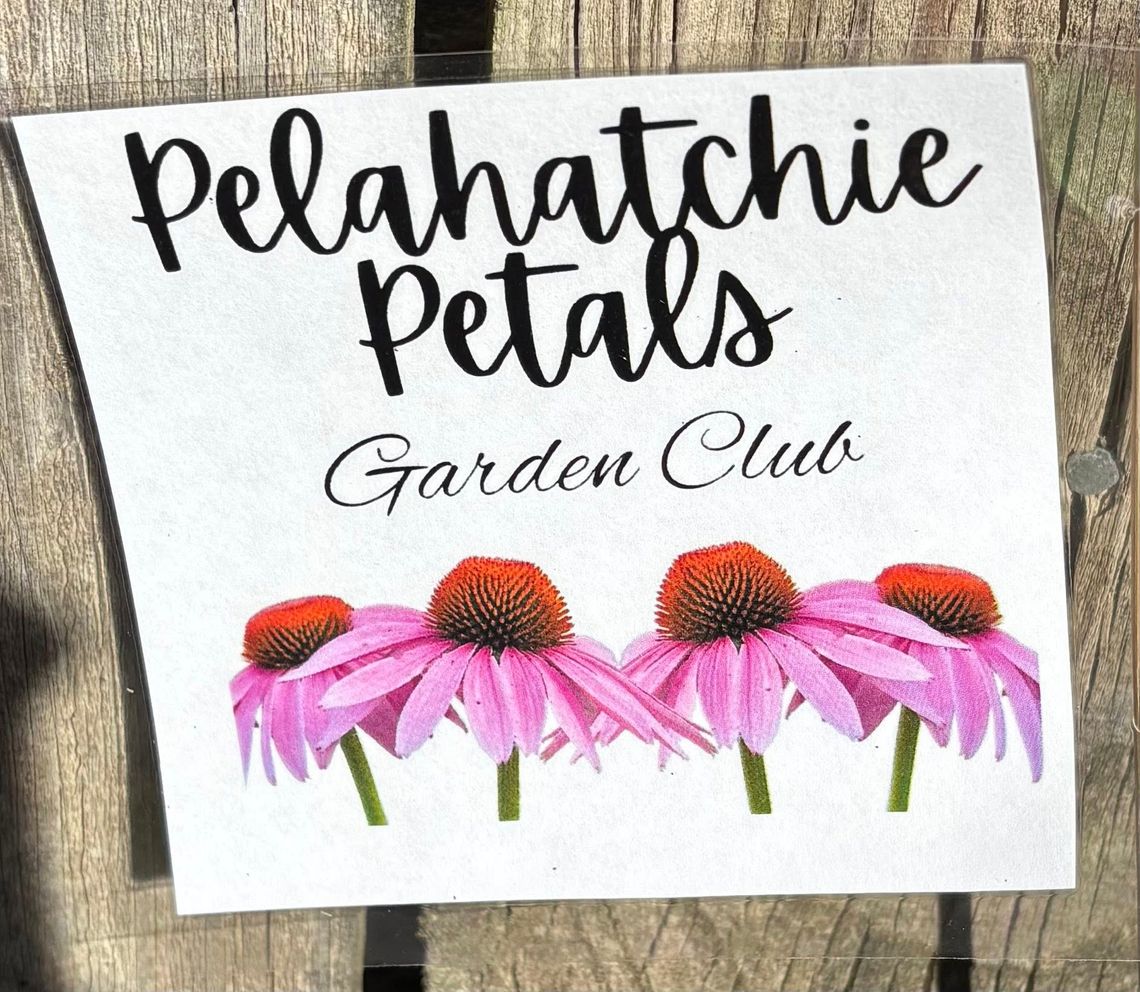 Pelahatchie Petals designed to beautify Pelahatchie Pelahatchie Petals designed to beautify Pelahatchie