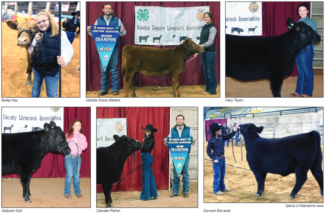 Rankin County youth excel at January Livestock Show