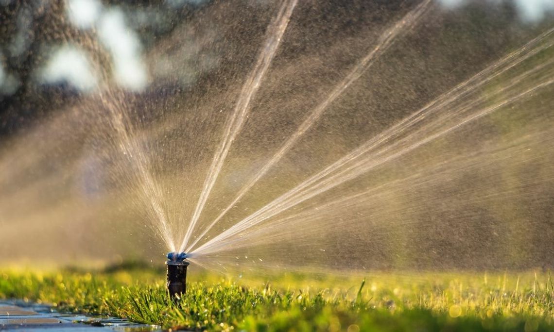 Signs That Your Property Isn’t Irrigated Properly