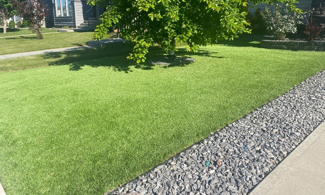 A green lawn bordered by gray rocks and a sidewalk, with leafy trees, shrubs, and houses in the background.