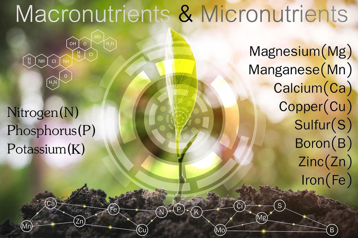 Soil management, testing, and nutrients Soil management, testing, and nutrients