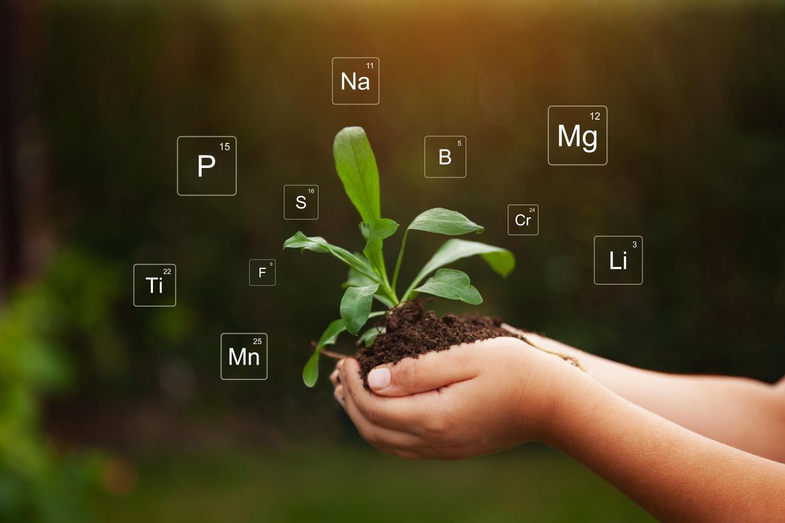 Soil testing: Improving the quality of your garden Soil testing: Improving the quality of your garden