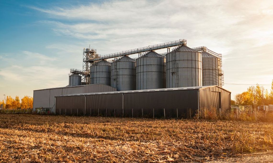 The Advantages of Using Silos for Storing Grain