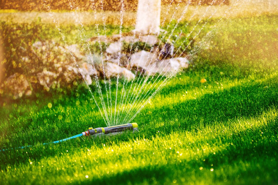 The benefits and care for the modern home lawn