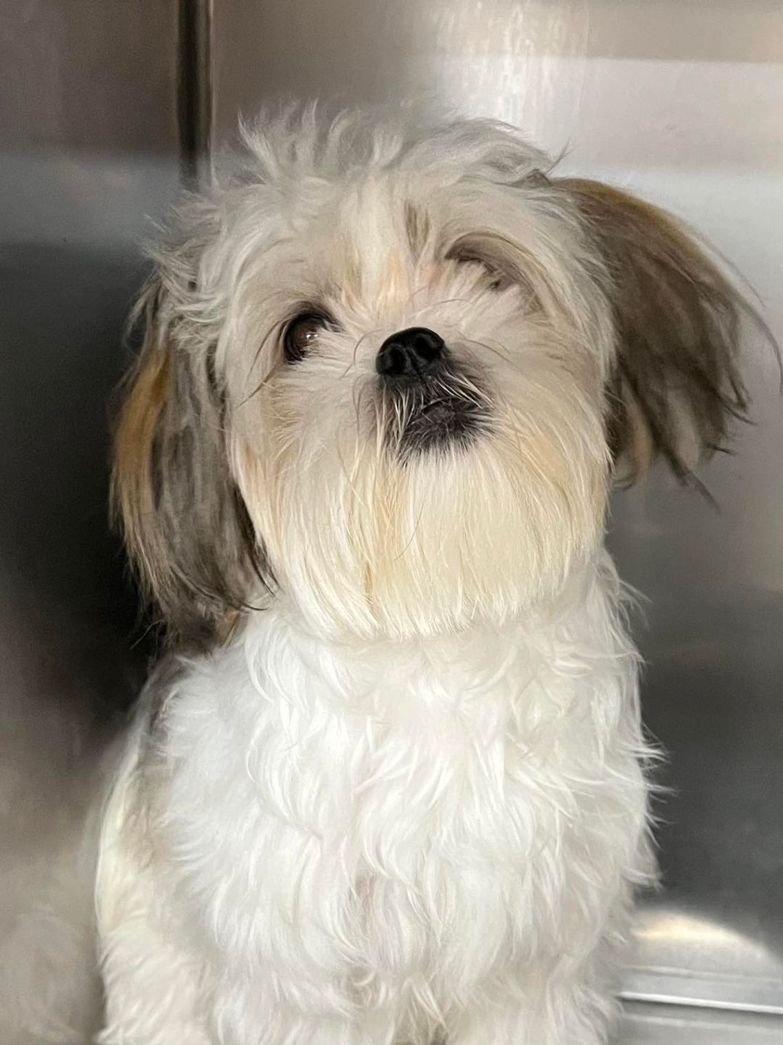 The Crooked Creek Cuties Corner The Crooked Creek Cuties Corner