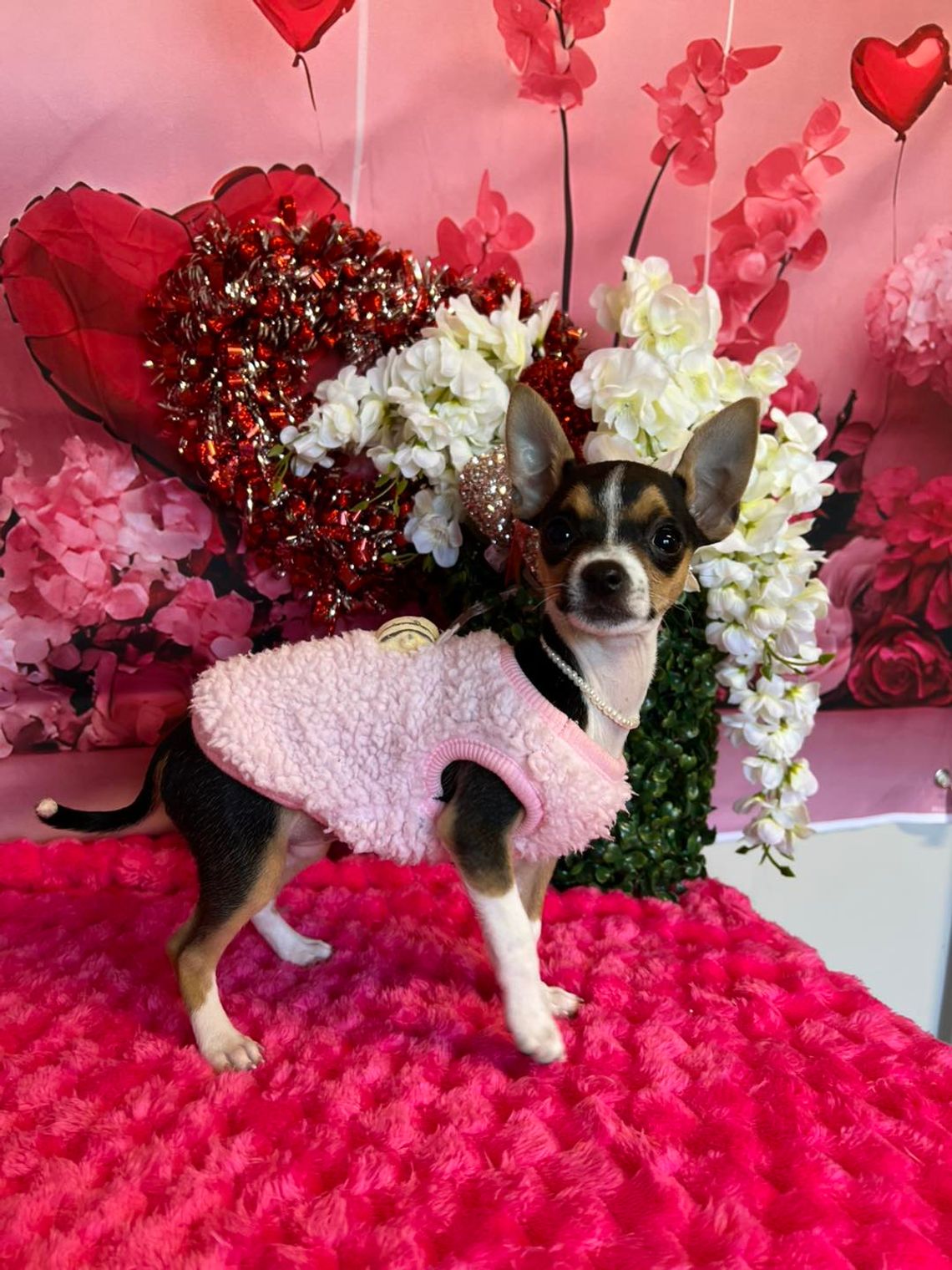 The Crooked Creek Lucky Cutie Corner: Valentine booth Take 2 The Crooked Creek Lucky Cutie Corner: Valentine booth Take 2