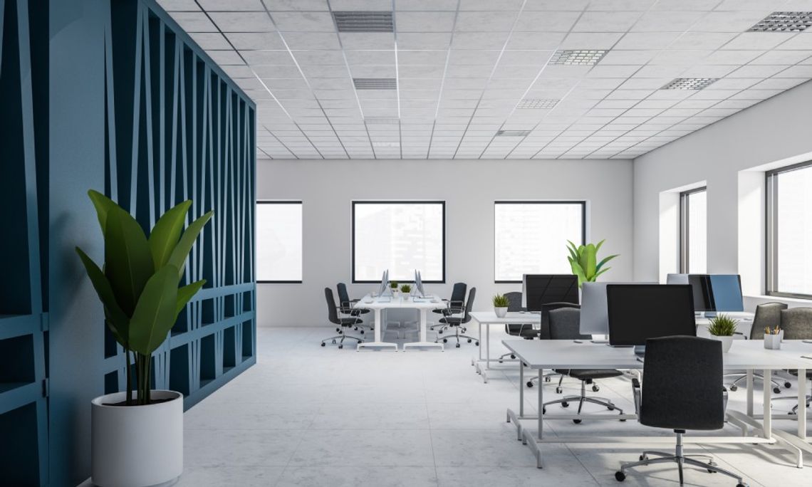 The interior of a modern office space with white and blue walls, white desks, and black desk chairs.