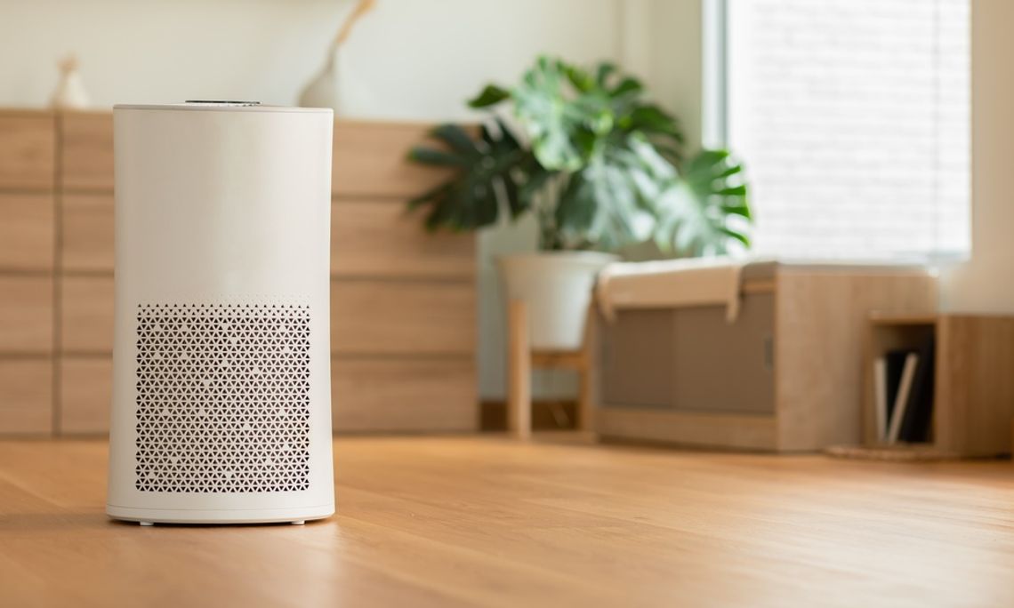 A small white air purifier sitting alone on a wooden floor near a green plant in a home. A window is nearby.