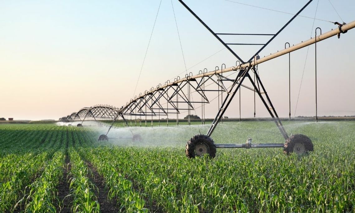 Tips for Improving Your Irrigation System