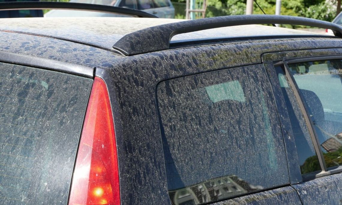 Tips for Protecting Your Vehicle From Pollen