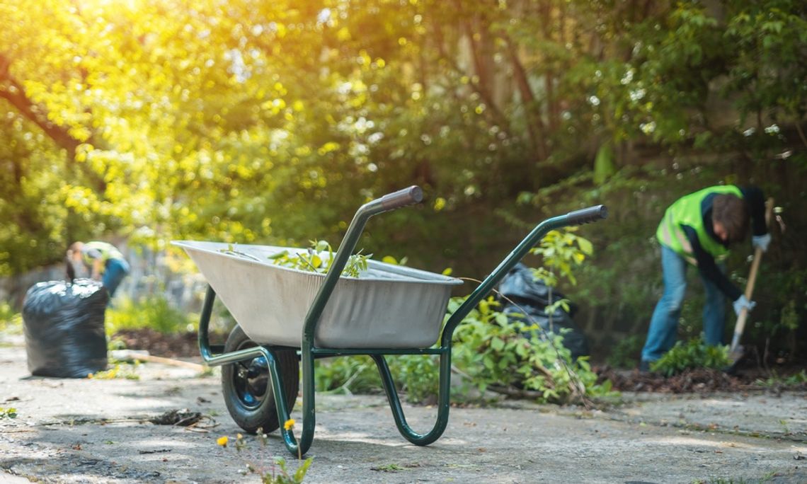 Top 5 Tips for Keeping Pelahatchie Clean and Green A group of good Samaritans are cleaning up the city and putting leaves in a wheel barrel and trash bags.