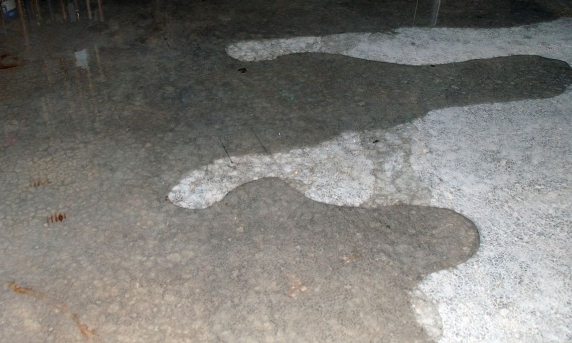 A wet concrete basement floor with shallow water spreading across the surface near dark walls and scattered marks.