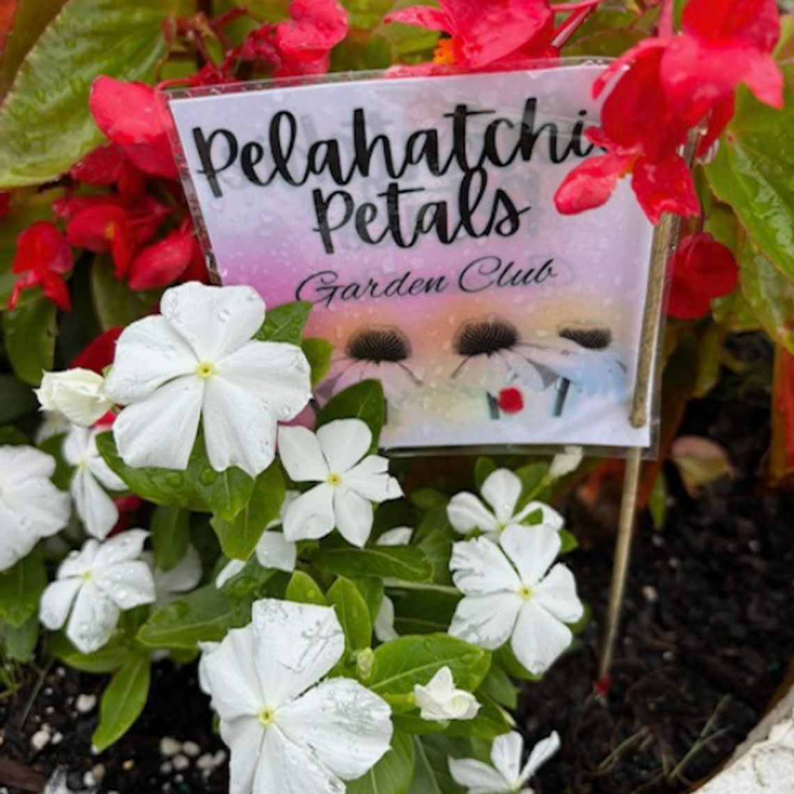Town in full bloom: Garden club enhances downtown